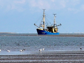 Krabbenkutter vor Westerheversand
