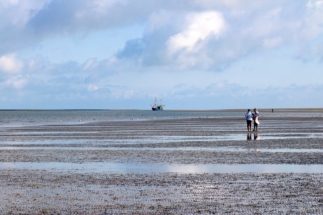 Krabbenkutter vor dem Strand von Westerhever