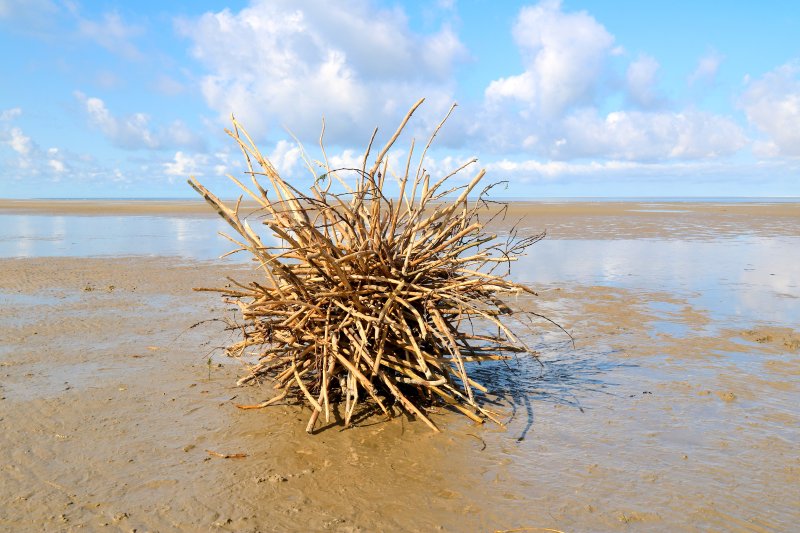 Landart Kugel aus Treibholz