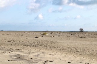 Westerhever Sandbank
